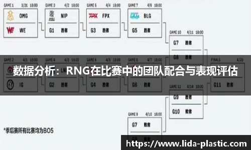 数据分析：RNG在比赛中的团队配合与表现评估